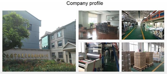 company profile