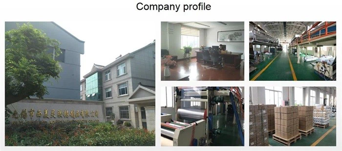 company profile company profile