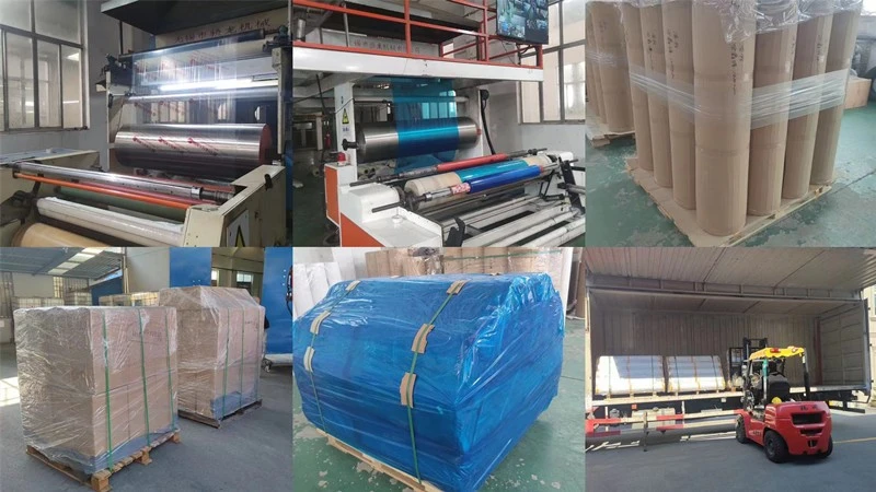 PE Film For Metal Panel sent to UK PE Film For Metal Panel sent to UK