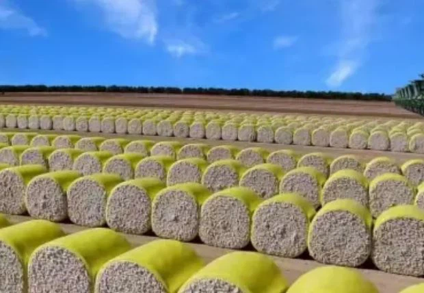 Cotton Packaging Film