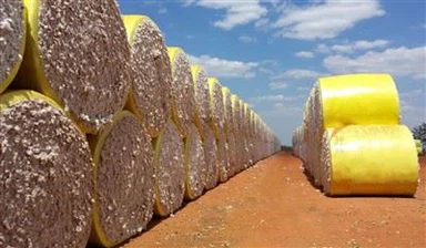 Cotton Bale Wrap Film