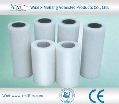 Plastic Carpet Protector