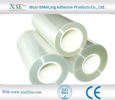 Stainless Steel Surface Protective Film