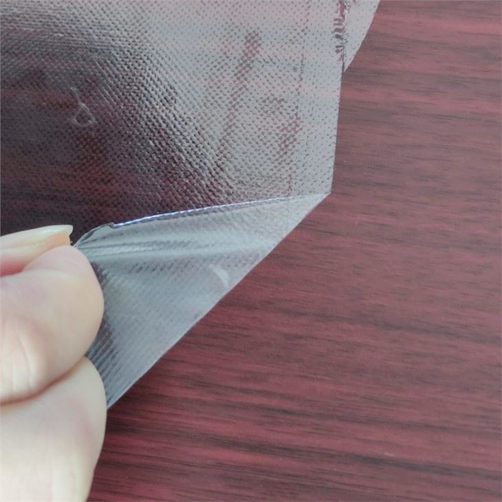Blue Or Transparent Sticky Mats For Floor